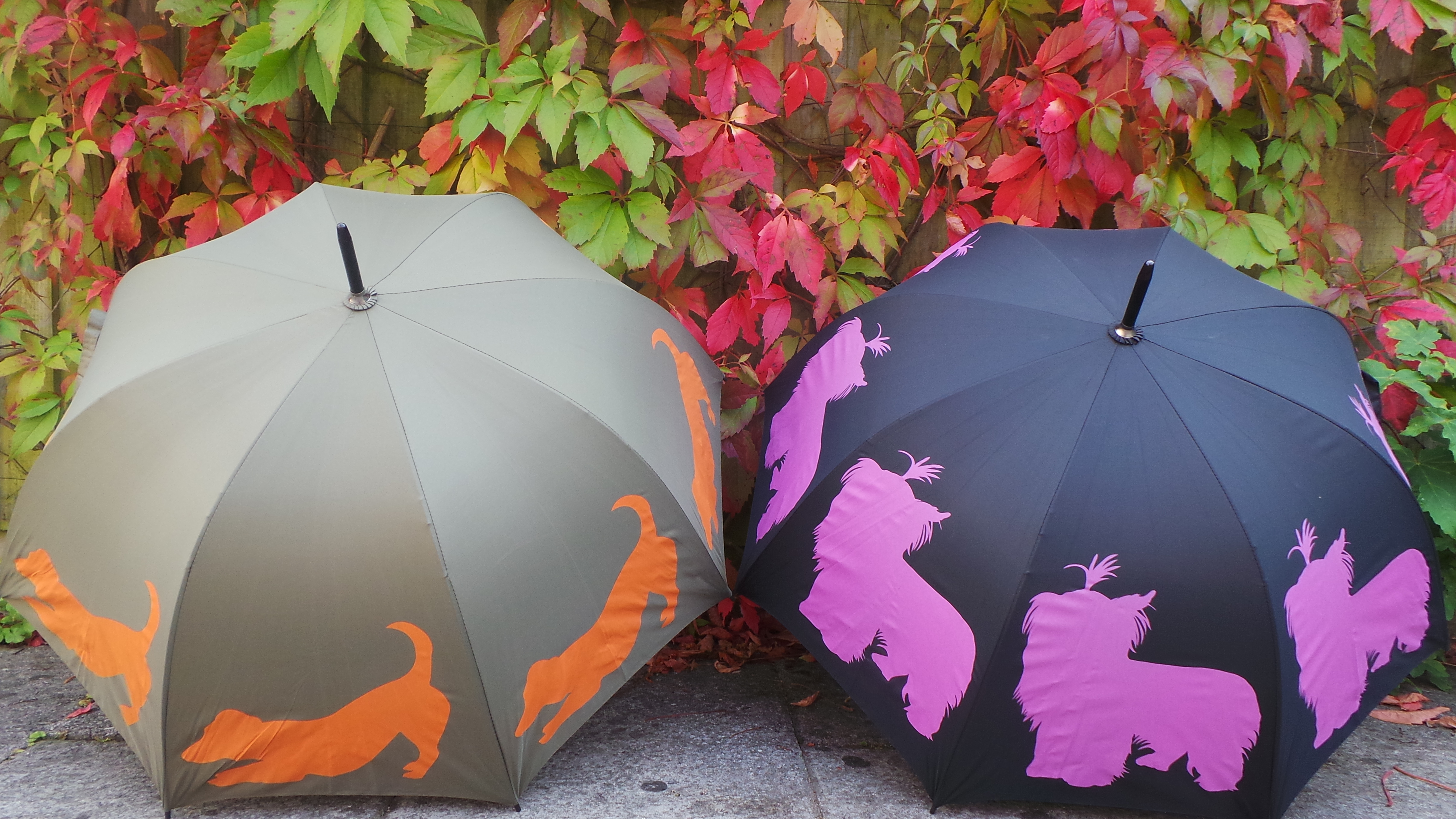 The Autumn Fashion Must Have Accessory To Stay Dry